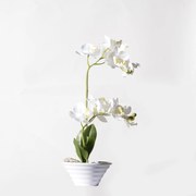 Supergreens Τεχνητό Φυτό Ορχιδέα Phalaenopsis Real Touch Λευκή με Κασπώ 35 εκ. - 5070-6