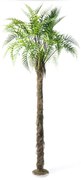 Τεχνητό Δέντρο Φτέρη New Zealand 6590-6 270cm Green Supergreens Ξύλο