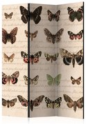 Διαχωριστικό με 3 τμήματα - Retro Style: Butterflies [Room Dividers] 135x172