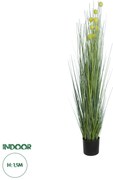 20112 GloboStar®  Artificial Garden CRASPEDIA GRASS 20112 Τεχνητό Διακοσμητικό Φυτό Κρασπέδια Υ150cm