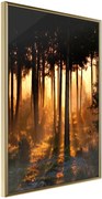 Αφίσα - Dark Tree Tops - 40x60 - Χρυσό - Χωρίς πασπαρτού