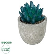 GloboStar® Artificial Garden SUCCULENT SEDEVERIA POTTED PLANT 21018 Διακοσμητικό Φυτό Σεδεβέρια  Φ6,5 x Υ9cm