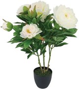 Τεχνητό Φυτό Σε Κασπώ Παιώνια 04-24172 60cm Green-Ecru Marhome Συνθετικό Υλικό