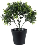 Τεχνητό Φυτό Buxus 20387 30cm Green Globostar Polyethylene