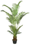 Τεχνητό Δέντρο Αρέκα 170 εκ. 9130-6 Supergreens-9130-6-Πράσινο 9130-6