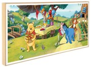 Παιδικό Κάδρο Winnie the Pooh KDP110 30x60cm