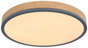 Φωτιστικό Οροφής Globo Lighting DORO 416080WD2R-CCT 2700 - 6500K