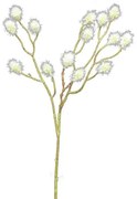 Τεχνητό Κλαδί Κορονίλλα Λευκό 55 εκ. 7541-7 Supergreens-7541-7-Λευκό 7541-7