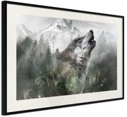 Αφίσα - Wolf's Territory - 60x40 - Μαύρο - Με πασπαρτού