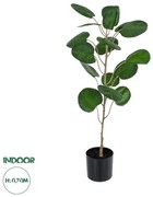 Artificial Garden POLYSCIAS BALFOURIANA TREE 20373 Τεχνητό Διακοσμητικό Φυτό Πολυσκιά Υ70cm Globostar 20373