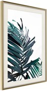 Αφίσα - Evergreen Palm Leaves - 30x45 - Χρυσό - Με πασπαρτού