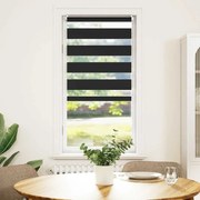vidaXL Σύστημα Σκίασης Ρόλερ Zebra Μαύρο 40 x 100 εκ.