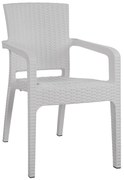 Καρέκλα - Πολυθρόνα C5590.04 Λευκή Πολυπροπυλενίου Rattan 58x55x87 εκ. 58x55x87 εκ.