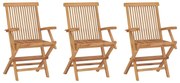 vidaXL Καρέκλες Κήπου Πτυσσόμενες 3 Τεμαχίων από Μασίφ Ξύλο Teak
