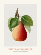 Αναπαραγωγή Pear (Watercolour Kitchen Fruit)