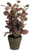 Τεχνητό Φυτό Ευκάλυπτος 2370-6 38cm Green Supergreens Πολυέστερ