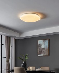 Φωτιστικό Οροφής Eglo 900129 SILERAS-Z Λευκό (White) 2700K - 6500K
