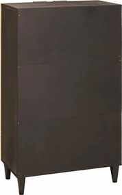 vidaXL Βοηθητικό ντουλάπι Μαύρο και Χρυσό 60 x 33,5 x 100 εκ.
