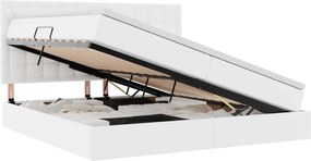 vidaXL Κρεβάτι με αποθηκευτικό χώρο και LED Καθαρό Λευκό 200 x 200 cm