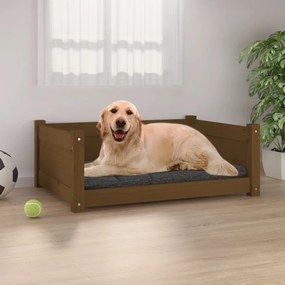 Κρεβάτι Σκύλου Μελί 75,5x55,5x28 εκ. από Μασίφ Ξύλο Πεύκου - Καφέ
