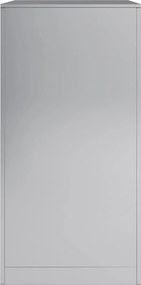 vidaXL Ράφι Καυσόξυλων 60x40x80 εκ. Γαλβανιζέ Ατσάλι