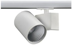 Σποτ Ράγας Μονοφασικό LED 40W 3000Κ Ρυθμιζόμενο Lisor Aca-LISOR4030W2N-Λευκό LISOR4030W2N