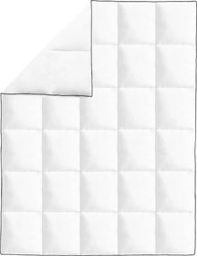 vidaXL Πάπλωμα 2 τμχ. 150 x 200 cm Χειμώνας Λευκό Αναπνεύσιμο