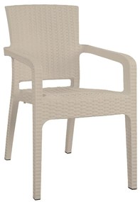 Καρέκλα Κήπου ArteLibre Μπεζ Rattan 58x55x87cm-14720003