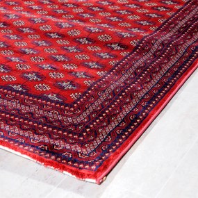Χαλί (240x300) Tzikas Carpets Dubai 62096-010