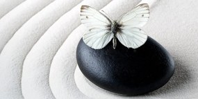 Εικόνα πέτρα Ζεν με πεταλούδα - 100x50