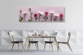 Σύνθεση εικόνας από ροζ χρυσάνθεμα - 150x50