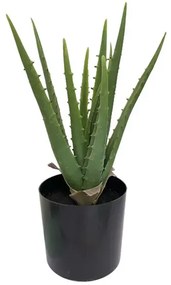 MarHome ΦΥΤΟ ΑΛΟΗ 11lvs ΣΕ ΓΛΑΣΤΡΑ L:17xH:36cm 6ΚΙΒ  04-18814