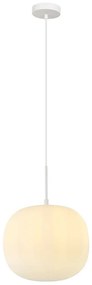 Φωτιστικό Οροφής 20125 1xE27 Max 40W Φ30cm Γυάλινο Οπάλ White Matt Μέταλλο,Γυαλί