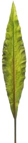 Τεχνητό Φύλλο Φτέρη Asplenium 5171-7 86cm Green Supergreens Πολυαιθυλένιο