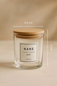 Spice Jar Set (24 Pieces) F10000194 Transparent