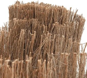 vidaXL Φράχτης 600 x 100 εκ. από Φρύγανα