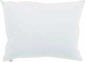 vidaXL Μαξιλάρι με μαξιλάρι 2 pcs Λευκό 50 x 70 cm Βαμβάκι