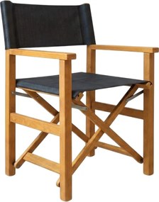 Καρέκλα Director