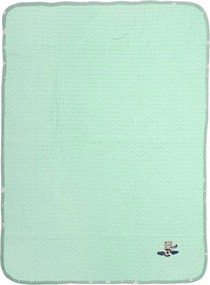 Κουβέρτα Πικέ Αγκαλιάς (80x110) Dimcol Aviator 186 Mint