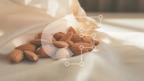 Intra Συλλεκτικό Ξύλινο Παζλ Plywood  4mm - Διάσπαρτα αμύγδαλα σε ύφασμα Σε Ξύλινο Κουτί - Διαστάσεις: 10x10 cm – 25 κομμάτια