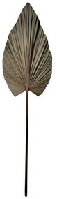 Διακοσμητικό φύλλο Leafen I Inart φυσικό palm leaf 130εκ
