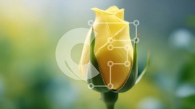 Intra Συλλεκτικό Ξύλινο Παζλ Plywood 4mm - Κοντινό πλάνο ενός κίτρινου τριαντάφυλλου μπουμπουκιού Σε Ξύλινο Κουτί - Διαστάσεις: 10x10 cm – 25 κομμάτια