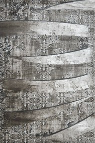 Χαλί Tango 7807 Silver 160X230cm