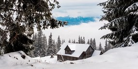 Εικόνα ενός ξύλινου σπιτιού κοντά σε χιονισμένα πεύκα