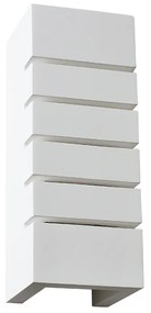 CE 3029