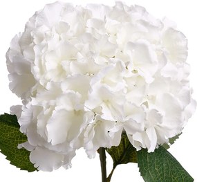 Τεχνητό Λουλούδι 83εκ. A-S Hortensia White 130813