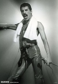 Αφίσα Queen (Freddie Mercury) - Live On Stage