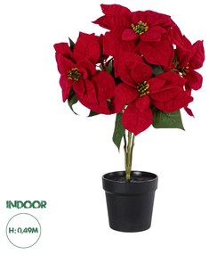 GloboStar® Artificial Garden CHRISTMASS FLOWER EUPHORBIA 20365 Τεχνητό Διακοσμητικό Χριστουγεννιάτικο Λουλούδι Αλεξανδρινό Υ49cm