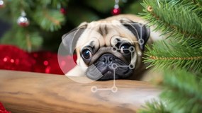 Intra Συλλεκτικό Ξύλινο Παζλ Plywood  4mm - Pug Dog σε ένα εορταστικό χριστουγεννιάτικο σκηνικό Σε Ξύλινο Κουτί - Διαστάσεις: 10x10 cm – 25 κομμάτια