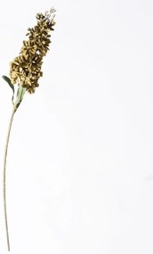 Supergreens Τεχνητό Κλωνάρι Δελφίνιο Πράσινο 80 εκ
